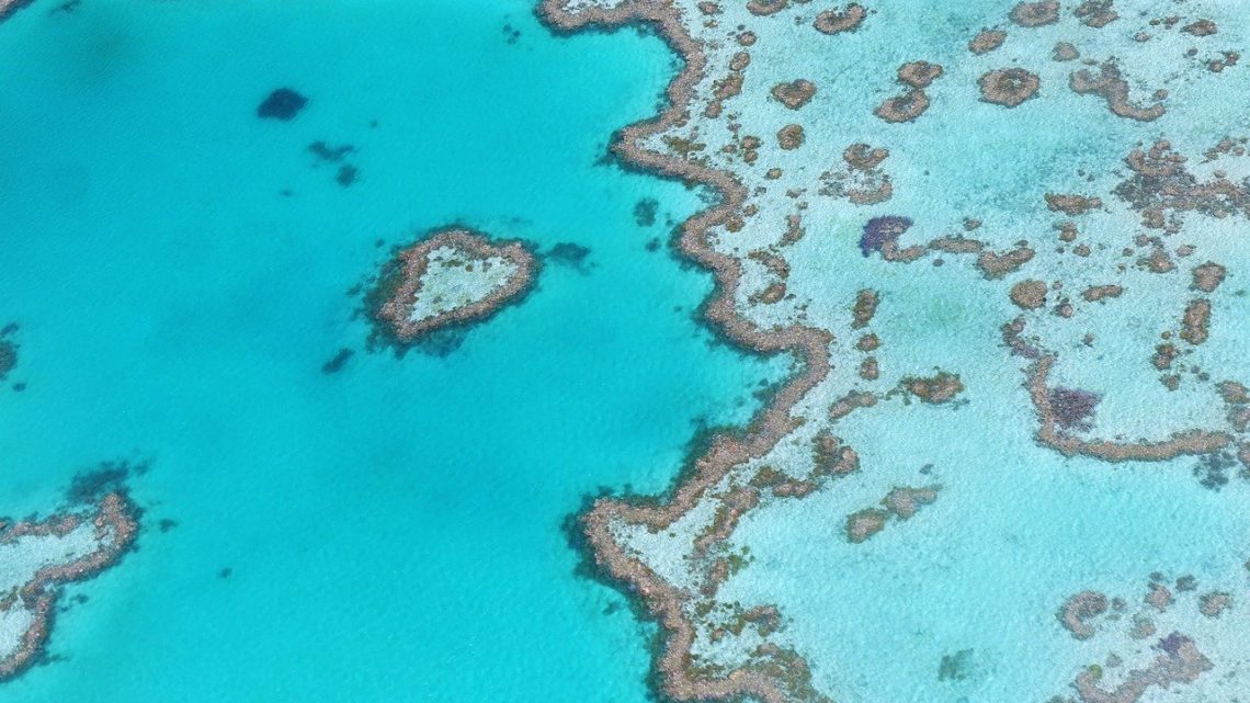 La Grande Barrière de Corail menacée à court terme selon l’ Unesco.