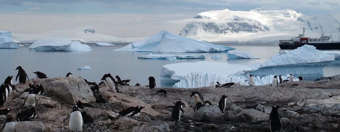Comment préparer un voyage parfait en Antarctique